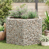 Vidaxl Gabion Planter insenté Hexagonal 160x140x100 cm