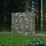 Vidaxl Gabion Basket 100x50x100 cm verzinkter Stahl