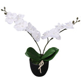 Vidaxl Orchidée de la plante artificielle avec pot 30 cm blanc