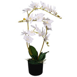 Vidaxl Orchidée de plante artificielle avec pot à 65 cm blanc