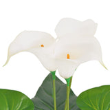 Vidaxl Art Calla Lelie Plant avec du pot 85 cm blanc
