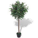 Vidaxl Art Laurier Tree Plantes avec Pot 120 cm vert