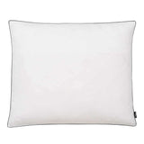 Coussins vidaxl 2 st lourds 70x60 cm vers le bas en blanc