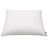 Coussins vidaxl 2 st lourds 70x60 cm vers le bas en blanc