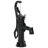 VIDAXL Pompe à eau à main en fonte