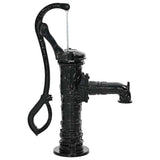 VIDAXL Pompe à eau à main en fonte