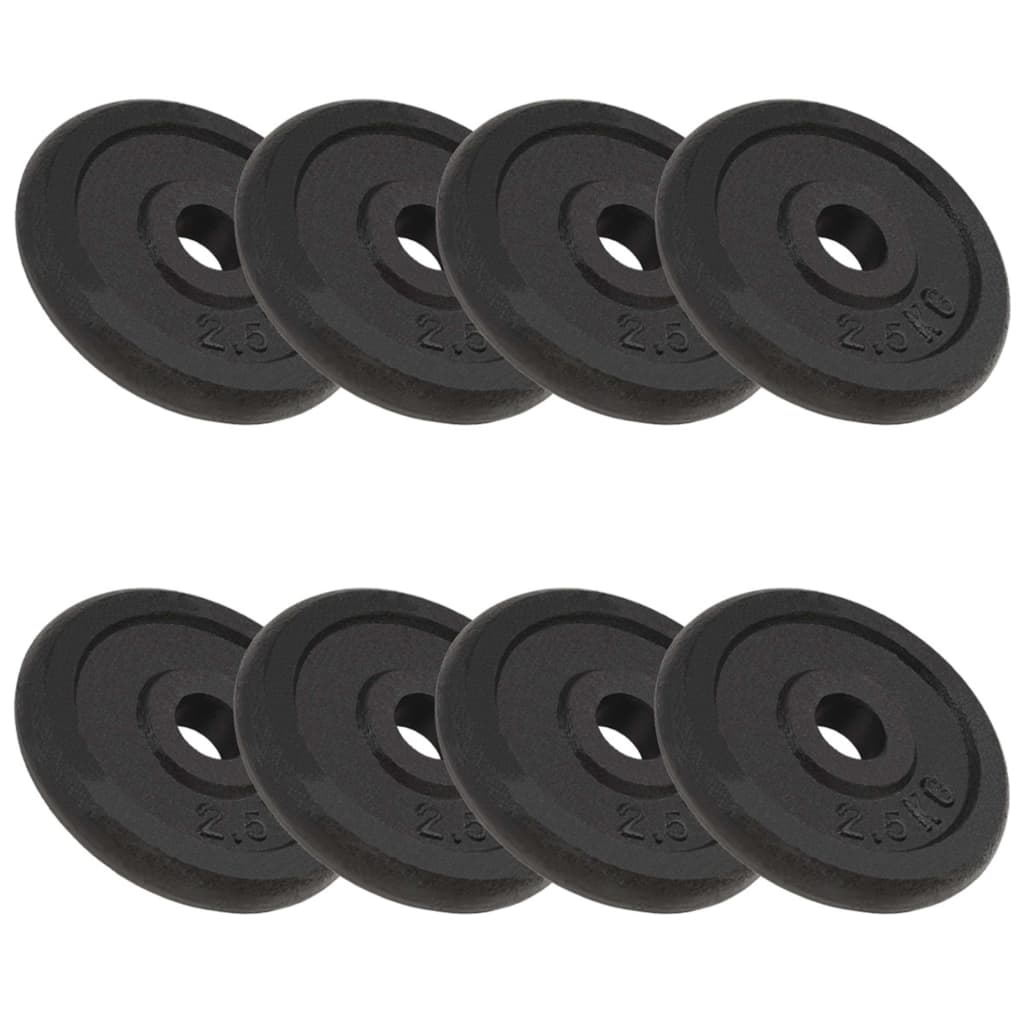 Vidaxl Halter Discs 8 St 8x2,5 kg støbejern