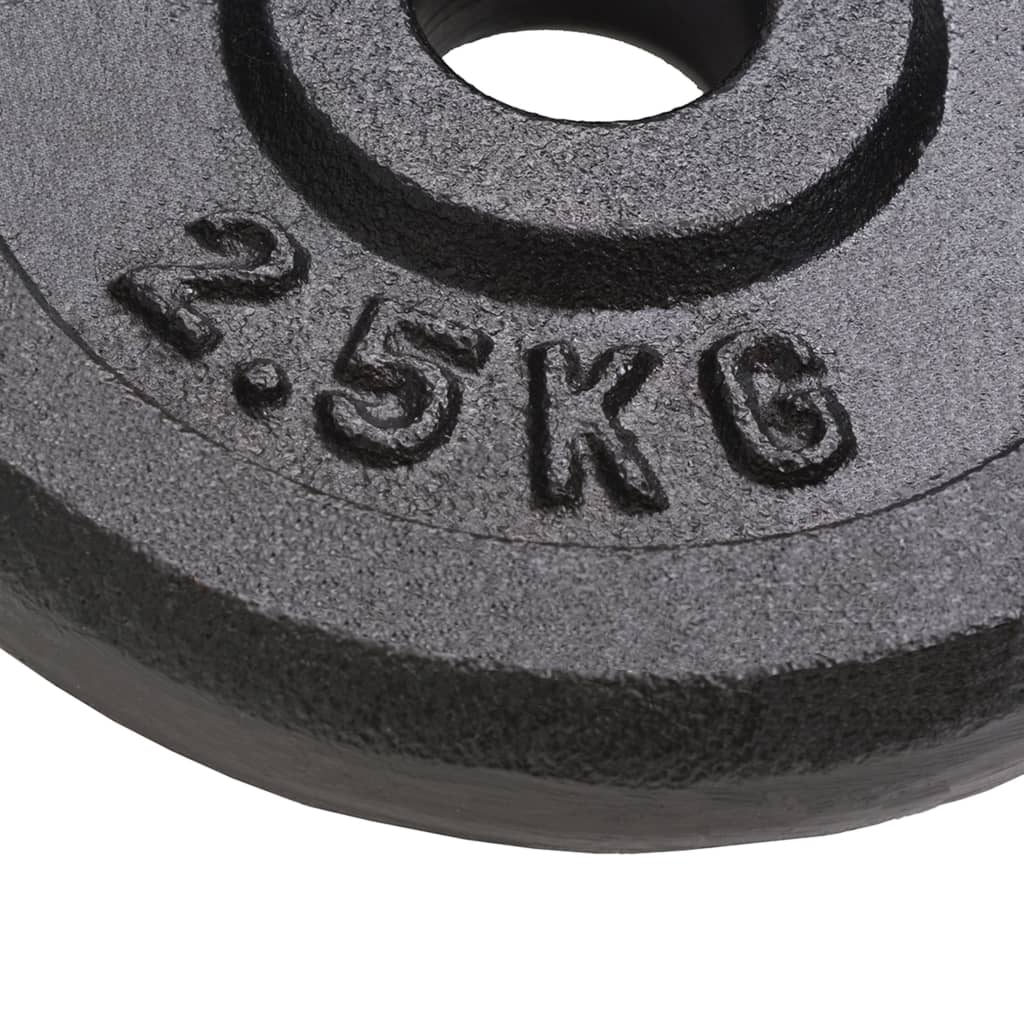 Vidaxl Halter Discs 8 St 8x2,5 kg støbejern