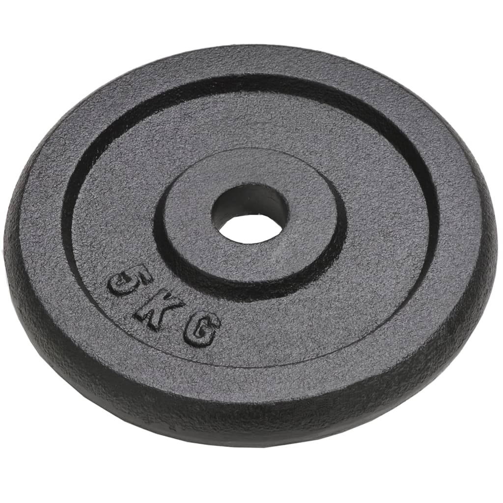 Vidaxl Halter Discs 4 PCS 4x5 kg støbejern