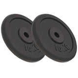 Vidaxl Halter Discs 2 Pcs 2x10 kg støbejern