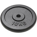 Vidaxl Halter Discs 2 Pcs 2x10 kg støbejern