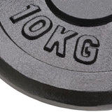 Disques licou vidaxl 2 pcs 2x10 kg en fonte
