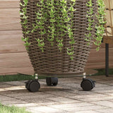 Vidaxl Plant Rouleaux autour de 28 cm Verre durci 2 STS