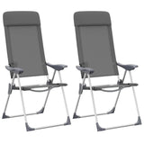 Vidaxl Campsite Chaises 2 PC
