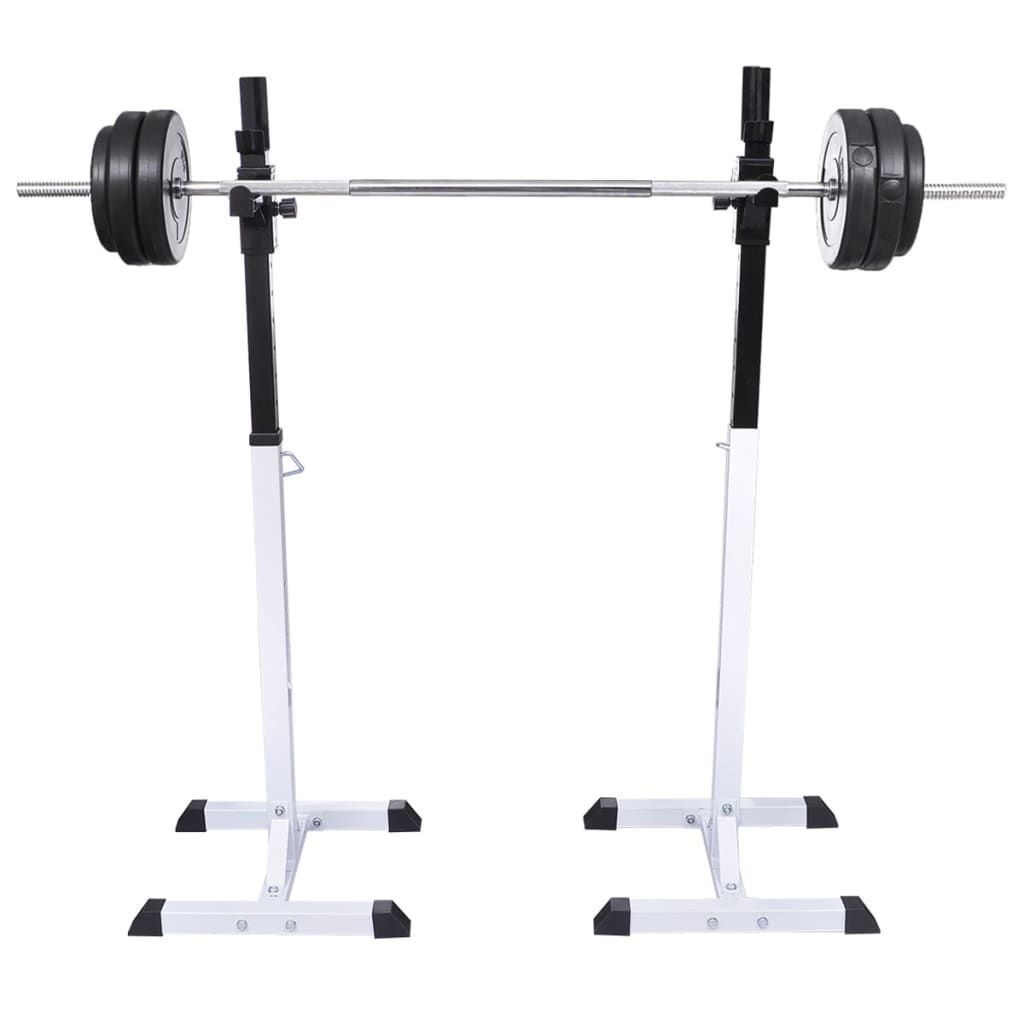 Vidaxl Halter-Squatrek mit Halfter-Set 30,5 kg