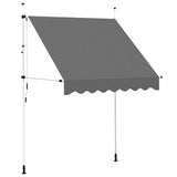 Vidaxl Luifel retire manuellement 200 cm anthracite