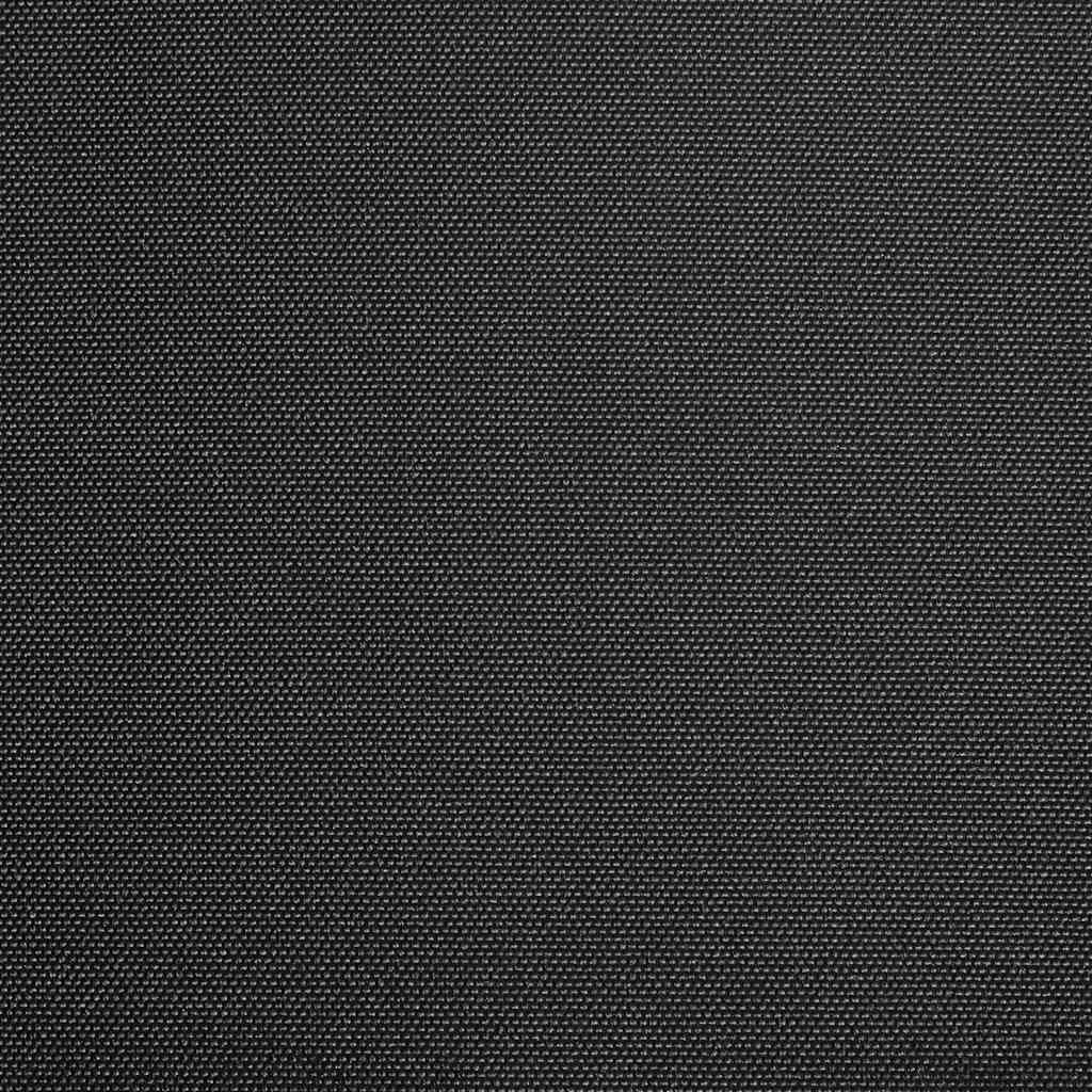 Vidaxl Laifeldoek 400x300 cm toile anthracite