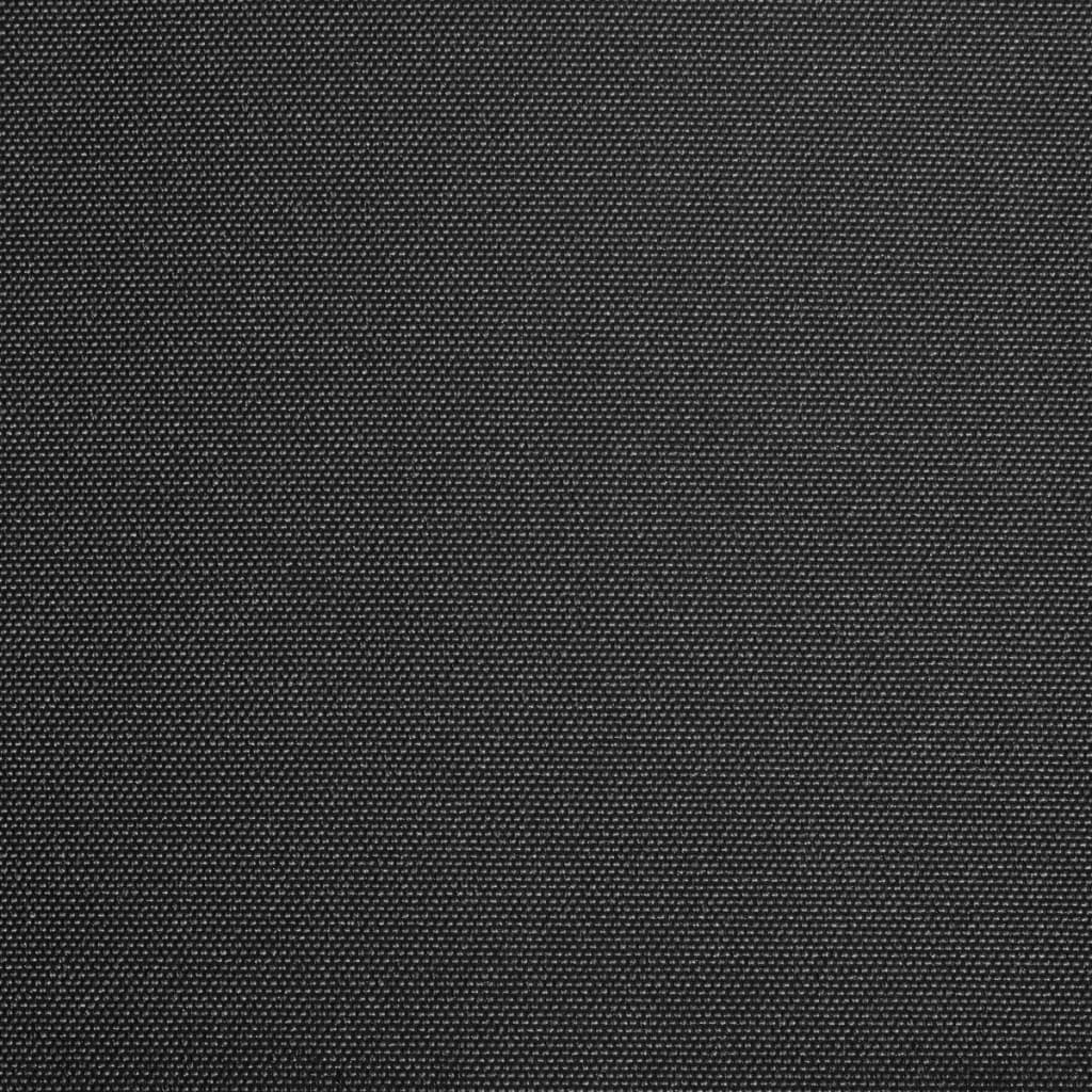 Vidaxl Laifeldoek 600x300 cm toile anthracite