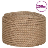 Corde vidaxl 10 mm 250 m 100% jute