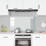 Vidaxl Splash Screen Kitchen 100x60 cm Verre terminale transparent