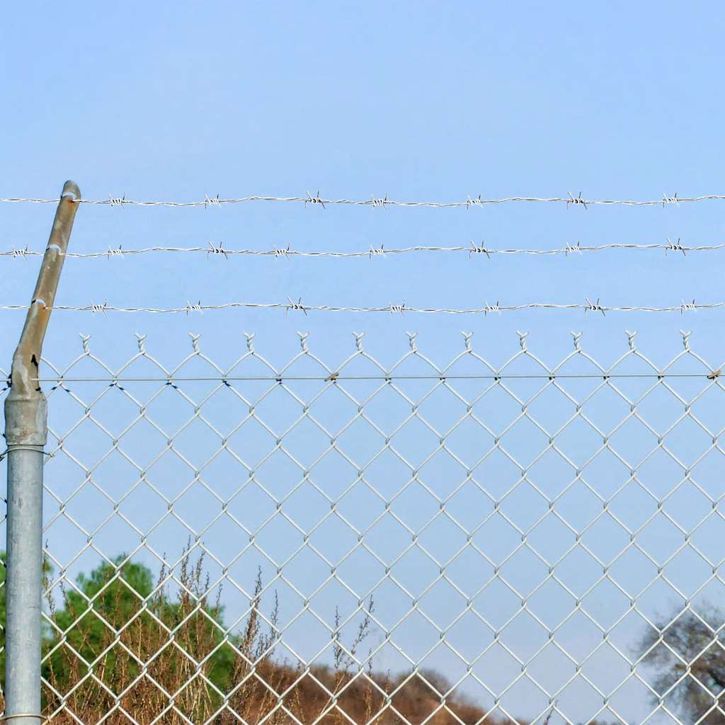 Vidaxl Barbed Fil Galvanisé 500 M