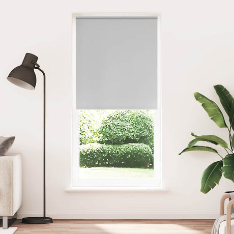 Vidaxl rouleau aveugle occlusion 100 x 230 cm gris