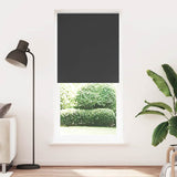 Vidaxl Roller aveugle accablant 120 x 230 cm noir
