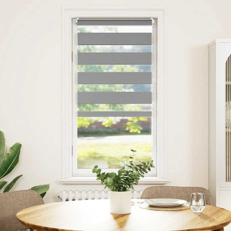 Vidaxl duo rouleau aveugle 60x120 cm gris