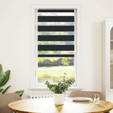 Vidaxl duo rouleau aveugle 60x120cm noir