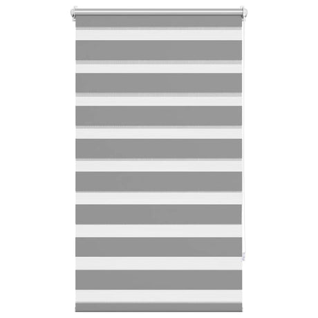 Vidaxl duo rouleau aveugle 70x120cm gris