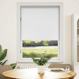 Vidaxl Roller aveugle accablant 80 x 175 cm blanc