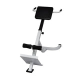 Canapé d'entraînement musculaire du dos vidaxl
