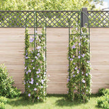 Vidaxl Garden Arch Towers 2 stk