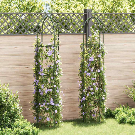 Vidaxl Garden Arch Towers 2 PCS