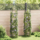 Vidaxl Garden Arch Towers 2 stk