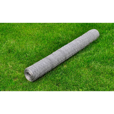 Vidaxl Poulet Fil 25x0,5 m Galvanisé en acier argent coloré