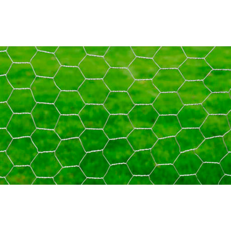 Vidaxl Poulet Fil 25x0,5 m Galvanisé en acier argent coloré