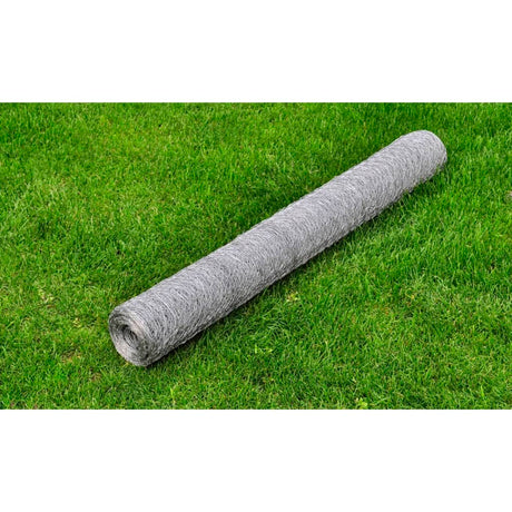 Vidaxl Poulet Fil 25x1 m Galvanisé en acier argenté coloré