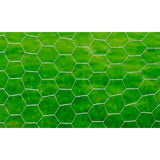 Vidaxl Poulet Fil 25x1 m Galvanisé en acier argenté coloré