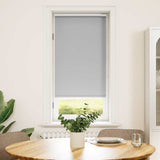 Vidaxx store enrouleur occultant 40x100 cm gris