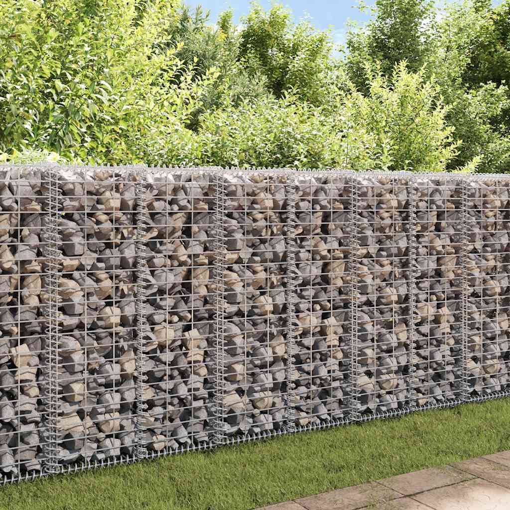 Vidaxl Schans Panier avec couvercles 100x30x30 cm fil galvanisé