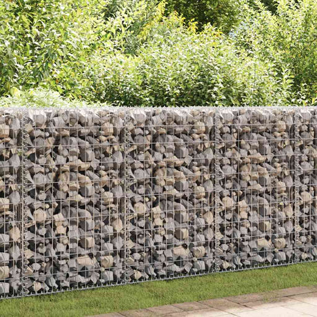 Vidaxl Schans Panier avec couvercles 100x50x30 cm fil galvanisé