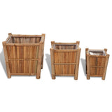 Vidaxl 3 St Planters Bamboo surélevé avec doublure en nylon