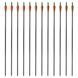 Vidaxl Arrows Compound Arch Standard 30 0,8 cm Fiber Optic 12 pièces
