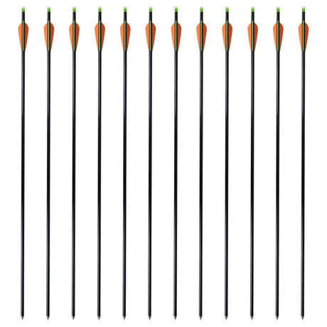 Vidaxl Arrows Compound Arch Standard 30 0,8 cm Fiber Optic 12 pièces