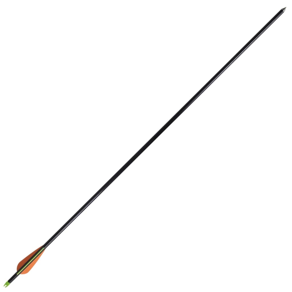 Vidaxl Arrows Compound Arch Standard 30 0,8 cm Fiber Optic 12 pièces