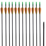Norme Vidaxl Recurveboog avec des flèches 30 0,6 cm Fiber Optic 12 pièces