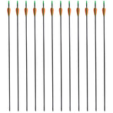 Norme Vidaxl Recurveboog avec des flèches 30 0,6 cm Fiber Optic 12 pièces