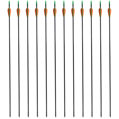 Norme Vidaxl Recurveboog avec des flèches 30 0,6 cm Fiber Optic 12 pièces