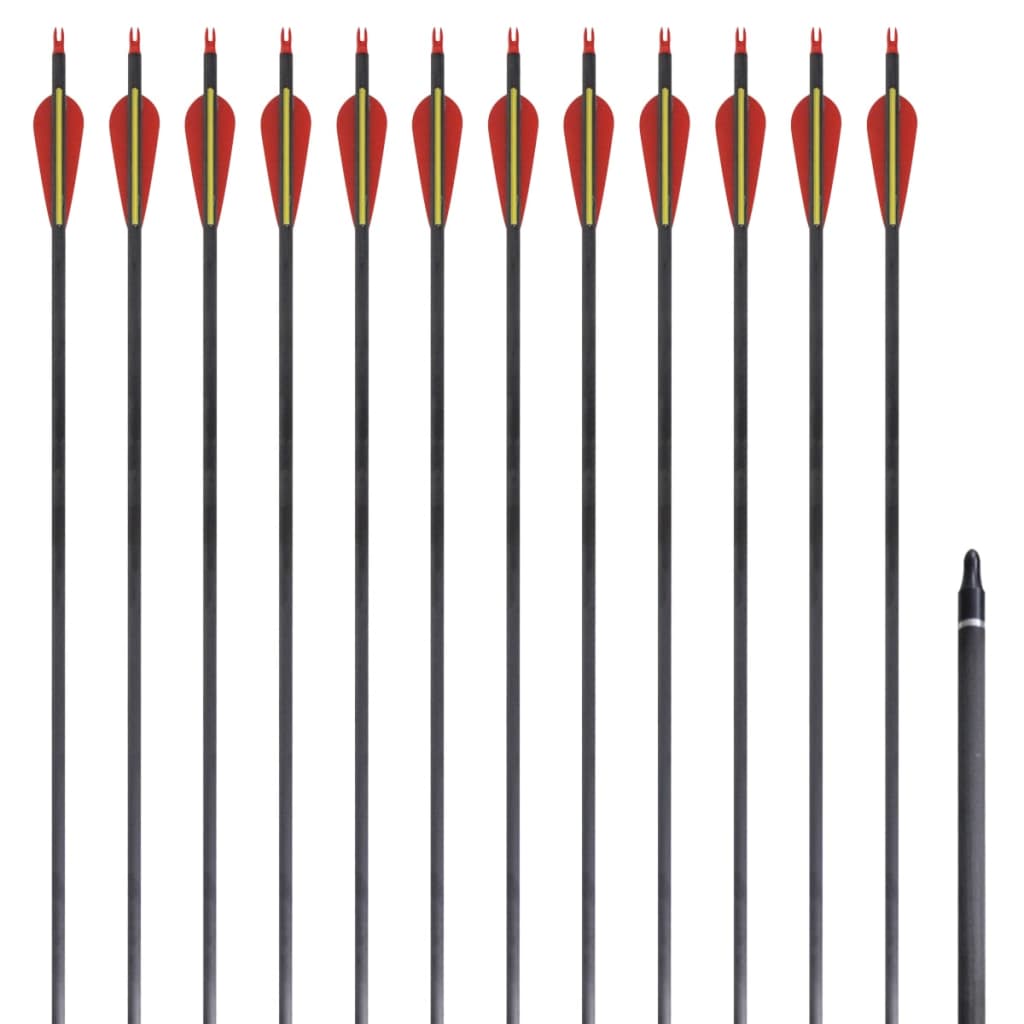 Arrows Vidaxl pour la norme de réapprovisionnement 30 0,76 cm de carbone 12 pièces